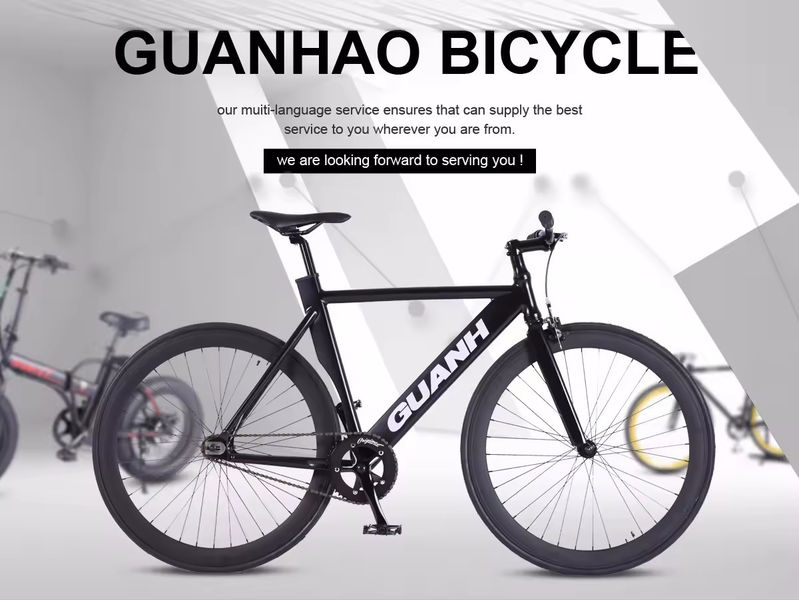 Electric Bicycles