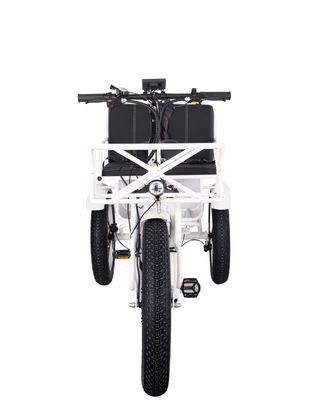 750W Front Wheels Electric Rickshaw Trike with 21AH Lithium Battery and 7 Speed Gears