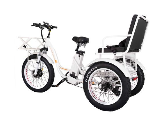 750W Front Wheels Electric Rickshaw Trike with 21AH Lithium Battery and 7 Speed Gears