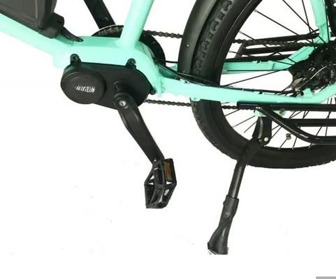 Road Occasion 20 Inch 350W 5PAS 7 Speed Ananda Bafang MID Drive Electirc Bike with Lithium Battery