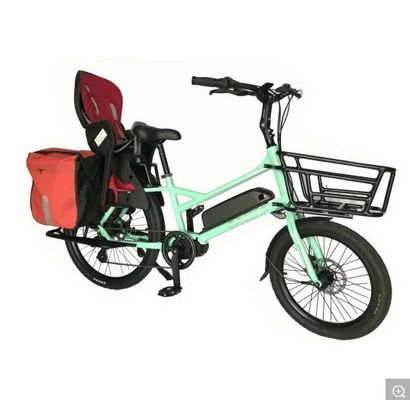 20&quot; Magnesium Alloy Frame Ananda Bafang MID Drive Electric Bike for Family or Cargo Delivery
