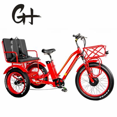 Front Hub Motor 750W 21AH Lithium Electric Tricycle for 2 People 24&quot; Snow Tire 40KM/H