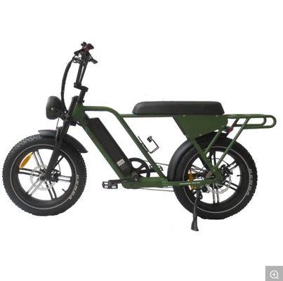 48V250W-500W-750W-1000W Motor Step-Through Electric Bikes with Aluminum Alloy Frame