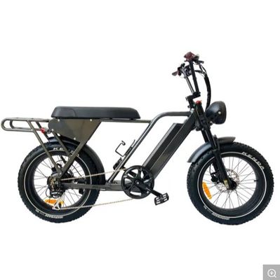 48V250W-500W-750W-1000W Motor Step-Through Electric Bikes with Aluminum Alloy Frame