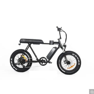 Magnesium Alloy Frame 2020 20 Inch Fat Tire Electric Bike Snow Beach Cruiser EL-DN2011Z