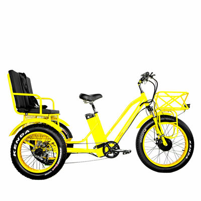 24&quot; Electric Etrike Tricycle with 750W Motor and 21AH Lithium Battery 40KM/H Max Speed
