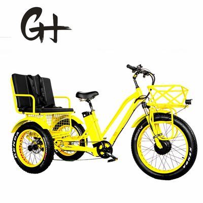 24&quot; Electric Etrike Tricycle with 750W Motor and 21AH Lithium Battery 40KM/H Max Speed