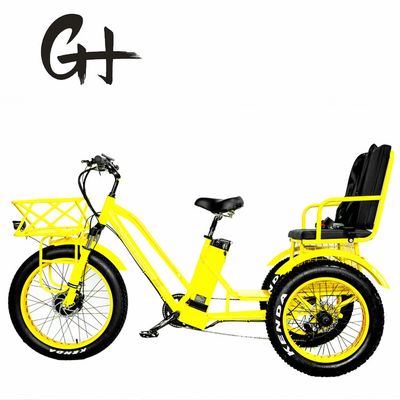 24&quot; Electric Etrike Tricycle with 750W Motor and 21AH Lithium Battery 40KM/H Max Speed