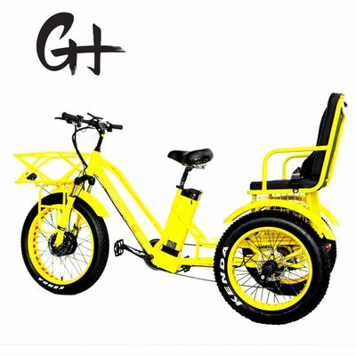 24&quot; Electric Etrike Tricycle with 750W Motor and 21AH Lithium Battery 40KM/H Max Speed