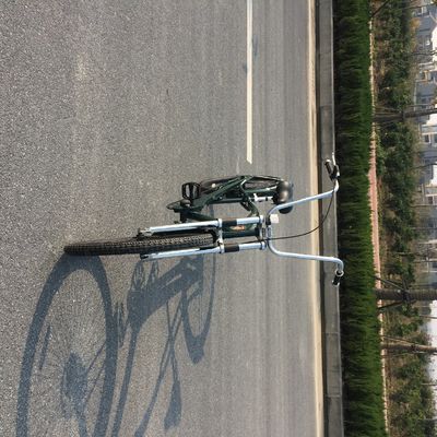 26'' USA Man Special Frame Chopper Beach Cruiser Bike with CE ISO9001 Certificate