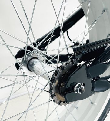 Gross Weight 25.0 KG 24-20&quot; Single Speed Adult Chopper Bike with Steel Fork from OEM