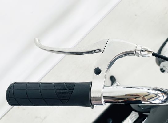 Gross Weight 25.0 KG 24-20&quot; Single Speed Adult Chopper Bike with Steel Fork from OEM