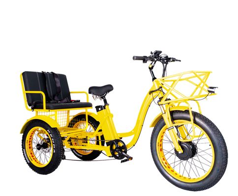 Electric Rickshaw 750W Front BaFang Motor 21AH Lithium Battery 60KM USA Adult 24&quot; Fat Snow Big Tire Passenger Seat