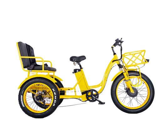 Electric Rickshaw 750W Front BaFang Motor 21AH Lithium Battery 60KM USA Adult 24&quot; Fat Snow Big Tire Passenger Seat