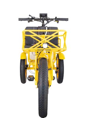 Electric Rickshaw 750W Front BaFang Motor 21AH Lithium Battery 60KM USA Adult 24&quot; Fat Snow Big Tire Passenger Seat