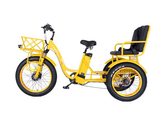 Electric Rickshaw 750W Front BaFang Motor 21AH Lithium Battery 60KM USA Adult 24&quot; Fat Snow Big Tire Passenger Seat