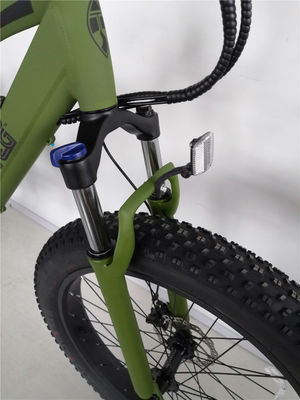 16.7 Ah Battery Capacity Electric Mountain Bicycle for Adults 26 Inch Fat Tyre Ebike
