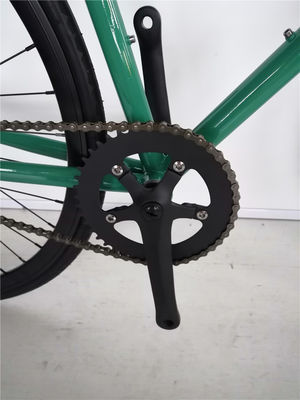 Colorful 700c Single Speed Flip Flop Hub City Cruiser Urban Fixie Bike for Adults