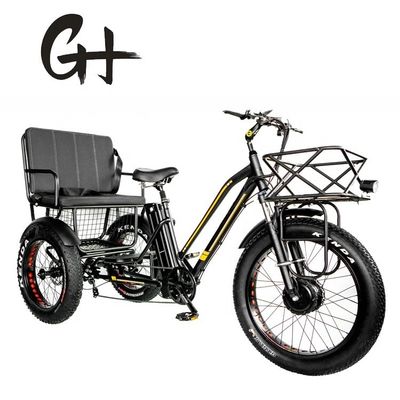 24&quot; 48V Front Wheel 750W 45KM/H Max Loading 300KG 21AH Lithium Battery Electric Tricycles