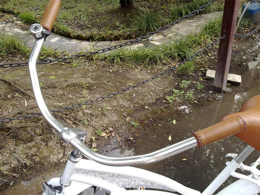 Custom Logo Adults 26 Inch Single Speed Hybrid Bikes for Women Beach Cruiser Bicycle