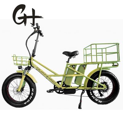 48V Disc Brake Dual Batteries Fat Snow Big Tire Electric Cargo Bicycles for Family 2