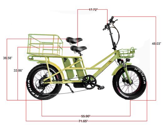 48V Disc Brake Dual Batteries Fat Snow Big Tire Electric Cargo Bicycles for Family 2