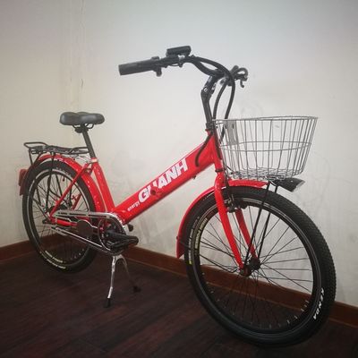 36V 9Ah 250W Torque 80-90 Nm 25KM/H Hi-Ten Steel Electric Cargo Bike for Food Deliver