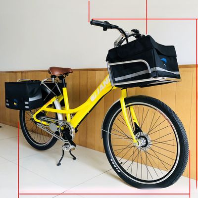 36V 9Ah 250W Torque 80-90 Nm 25KM/H Hi-Ten Steel Electric Cargo Bike for Food Deliver
