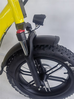 Kenda 20*4.0 Tire and Wellgo Pedal 48V 750W Folding Electric Bike for Beach Cruiser