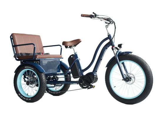 Front Hub Motor Electric Rickshaw with 48V 750W 17AH Lithium Battery and Big Fat Tire
