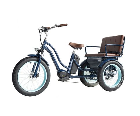 Front Hub Motor Electric Rickshaw with 48V 750W 17AH Lithium Battery and Big Fat Tire