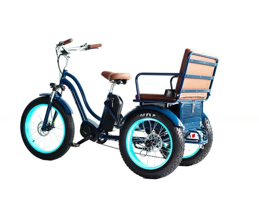 Front Hub Motor Electric Rickshaw with 48V 750W 17AH Lithium Battery and Big Fat Tire