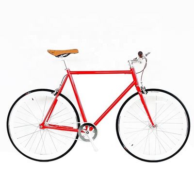USA OEM Sport Fixie Bikes with Sealed Bearing Hubs and Colorful Hi-Ten Steel Frame