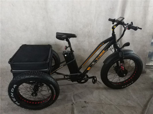 Long Distance Delivery Electric Cargo Bike with Dual Lithium Batteries and Disc Brake