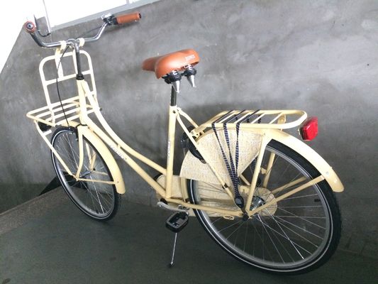 28inch Old Man City Bike Classic Dutch Bike with Lugged Steel Frame and Double V Brake