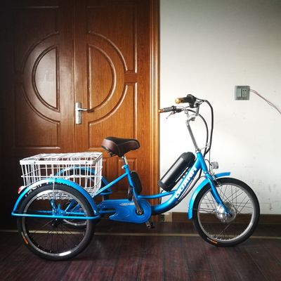 2020 Market 750W 20&quot; Aluminum Alloy Rim Electric Tricycle for Cargo Transportation