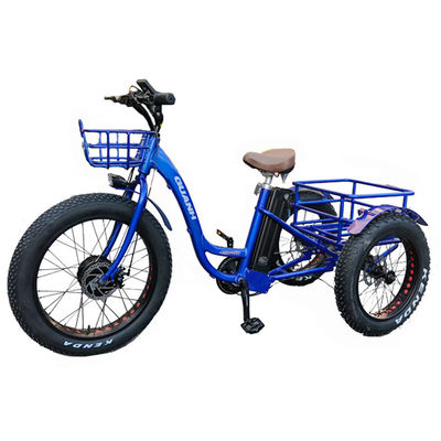 2020 Market 750W 20&quot; Aluminum Alloy Rim Electric Tricycle for Cargo Transportation