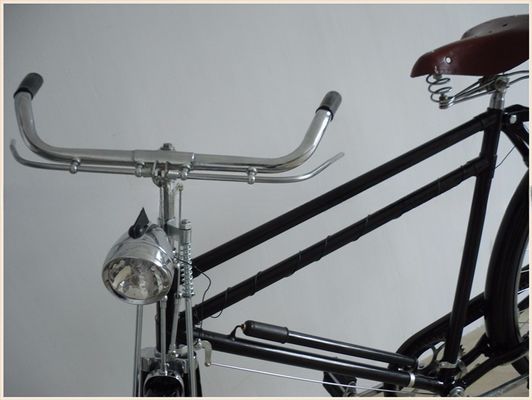 Classic Style Dutch Bike for Men Featuring Coaster Brake and Ordinary Pedal Type