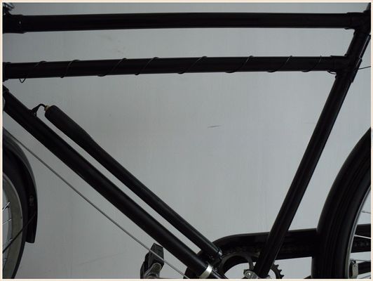 Classic Style Dutch Bike for Men Featuring Coaster Brake and Ordinary Pedal Type