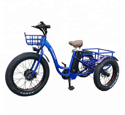 750W Electric Cargo Tricycle with Lithium Battery and Range of 31-60 km