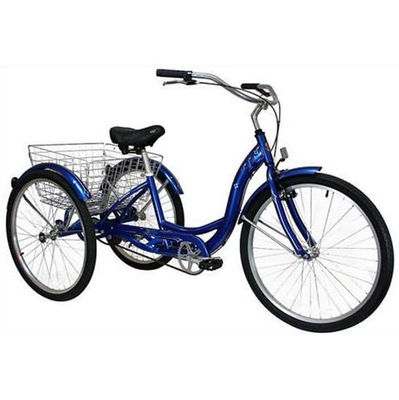 750W Electric Cargo Tricycle with Lithium Battery and Range of 31-60 km