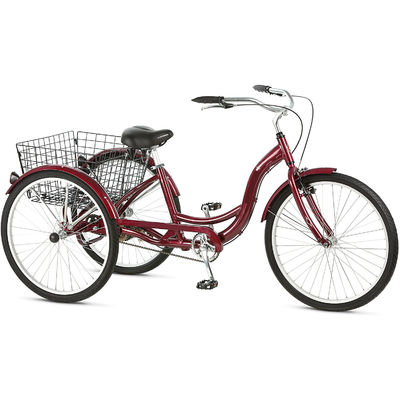 750W Electric Cargo Tricycle with Lithium Battery and Range of 31-60 km