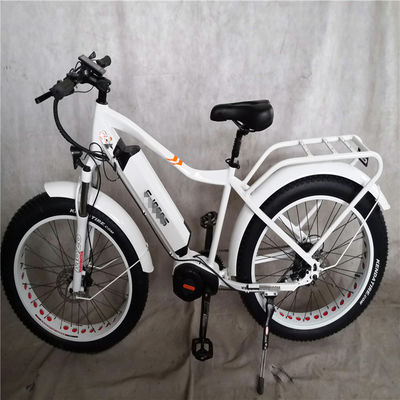 1000W Bafang Mid Drive Motor Alloy Rear Carrier Central Electric Bike with Standards