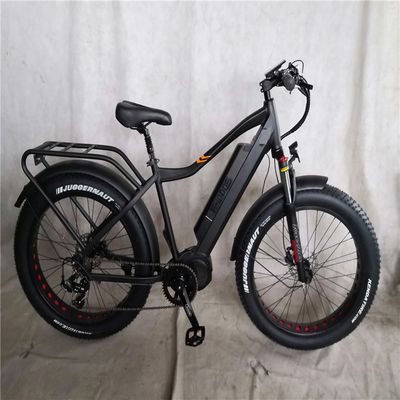 1000W Bafang Mid Drive Motor Alloy Rear Carrier Central Electric Bike with Standards