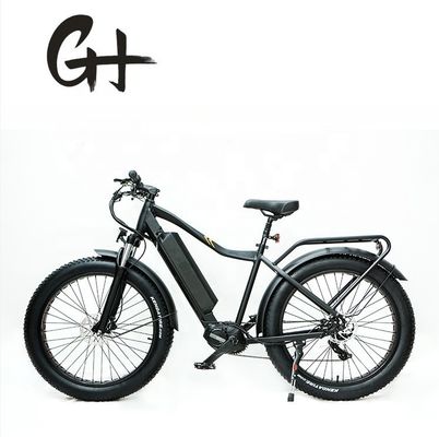1000W Bafang Mid Drive Motor Alloy Rear Carrier Central Electric Bike with Standards