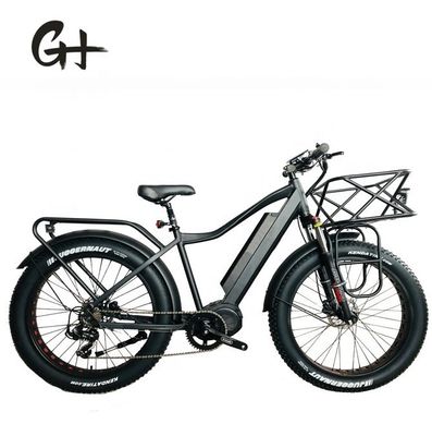 1000W Bafang Mid Drive Motor Alloy Rear Carrier Central Electric Bike with Standards