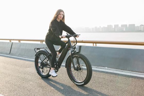 1000W Bafang Mid Drive Motor Alloy Rear Carrier Central Electric Bike with Standards