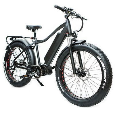 Tire Width 26*4&quot; 7 Speed Fat Snow Tire Electric Mountain Bicycle with Bafang Middle Motor