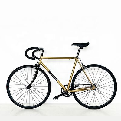 Aluminum Alloy Rim 80MM 700C Lugged Frame CR-MO 4310 Steel SRAM 2S Bicycle with Steel Fork