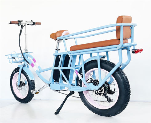 Shimano Gear Alloy Stem Dual Batteries Folding Step Through Ebike for Carrying Kids